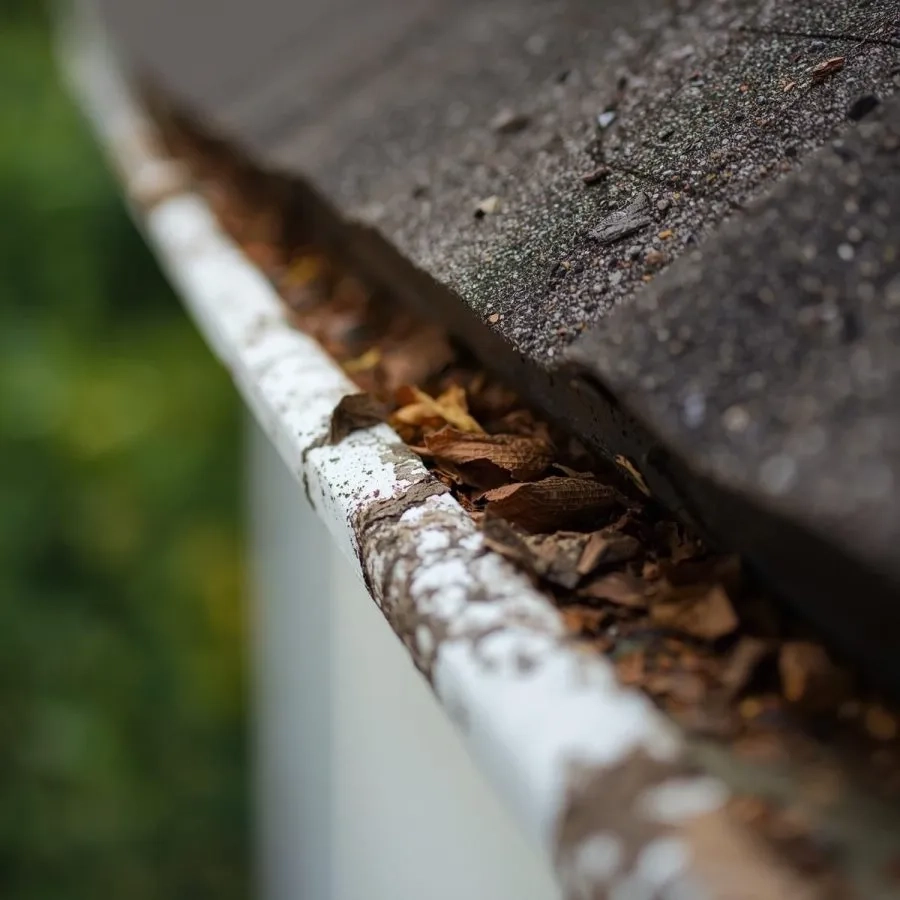 Clogged gutter filled with leaves and debris causing drainage blockage on residential roofing system